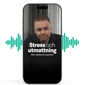 Johannes Hansen: Stress och utmattning ljudbok