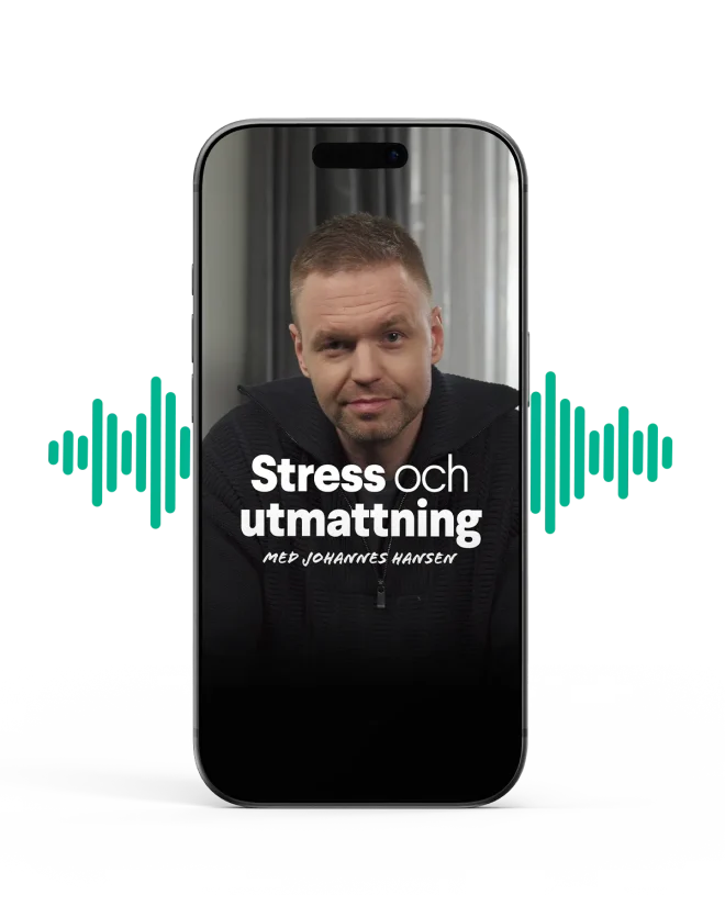 Johannes Hansen: Stress och utmattning ljudbok