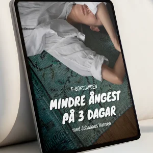 Mindre ångest på 3 dagar E-bok